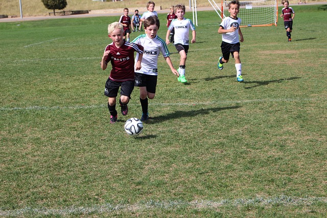 需要的不仅 需要的不仅