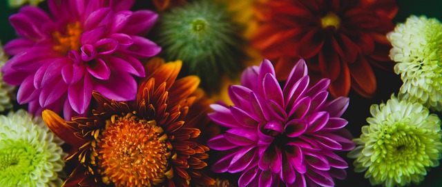 為足壇增添 為足壇增添