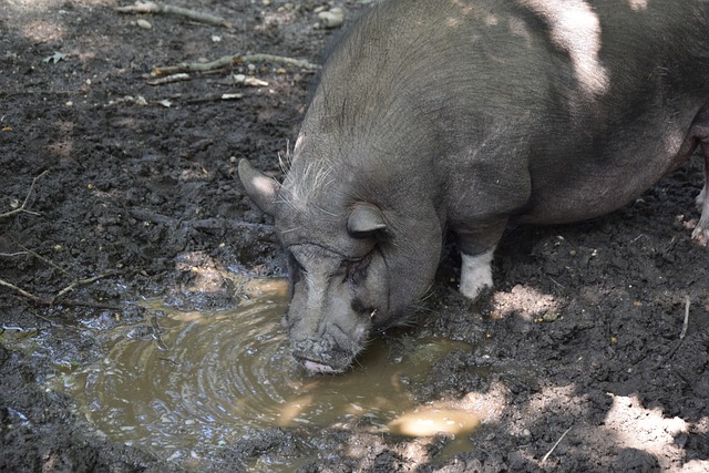 德甲赛场再 德甲赛场再