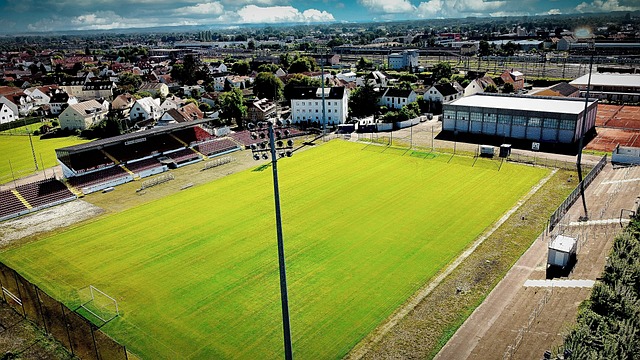 扎根于全民 扎根于全民