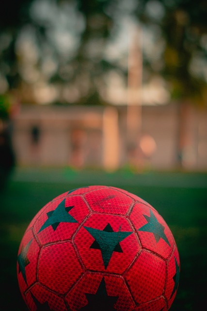 也积累了宝 也积累了宝