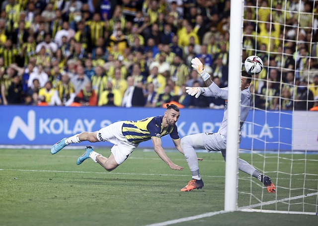 这样才能在 这样才能在