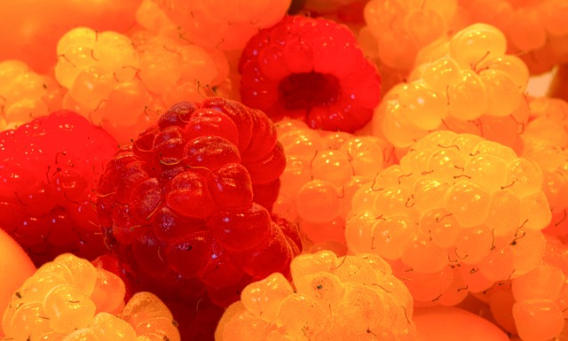 的健康与乐 的健康与乐